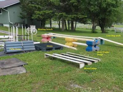 Dog training equipment/agility course for sale. Over 20 items. Valued at over $1300.00 but if you ta...