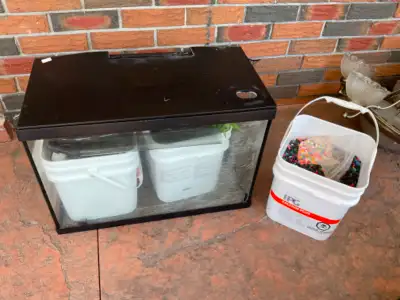 20 gallon fish tank with all accessories