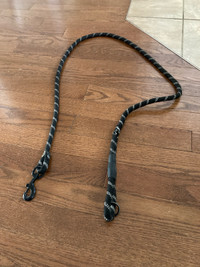 Black dog leash 