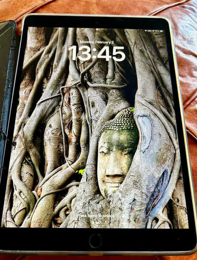ipad Pro 10.5" (model MPDY2TH/A), View more