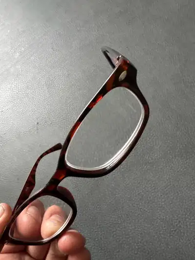 I found these prescription glasses near Beatrice and Hespler. They feature a stylish tortoise shell...