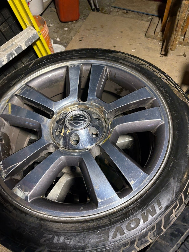 2007 supercrew cab ford f 150 Harley Davidson 5.4l — photo 5
