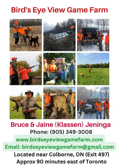 Upland Game Bird Hunting, View more