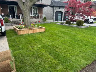 Premium lush green sod 100% Kentucky blue grass ✔️ weed free ✔️ healthy and vibrant ✔️ 9 sq ft roll...