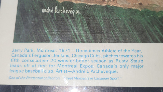 Posters - Edmonton Eskimos / 72 Summit series / Montreal Expos in Arts & Collectibles in Red Deer - Image 4