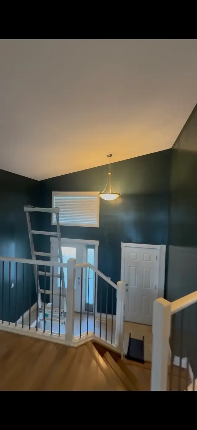 Expert Painter Available582838652188108802