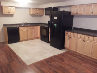 2 Bedroom Basement Apartment for rent in Guelph