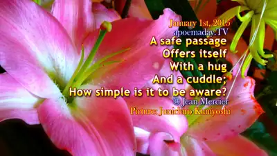 FREE 100 Chapters Healing poetry. As a book in your back pocket., View more