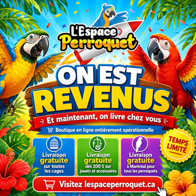 @L’Espace Perroquet est de retour! The Parrot Space is Back, View more