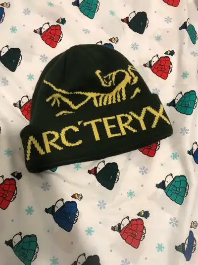  Arc'teryx Beanie ❄️, View more