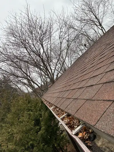 Keep your home looking its best with our professional Window & Gutter Cleaning service We make sure...