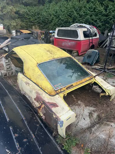 Perfect for a 69-70 fastback conversion. Comes with bin tags (1970)