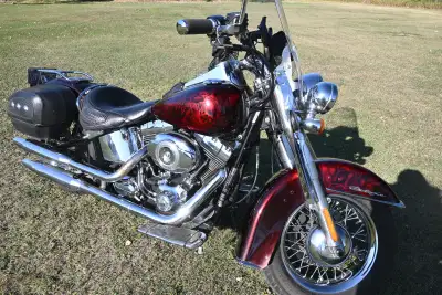 2011 Softail Deluxe Special Edition Soul-less Factory Paint 43 of 200 worldwide. I have never seen a...