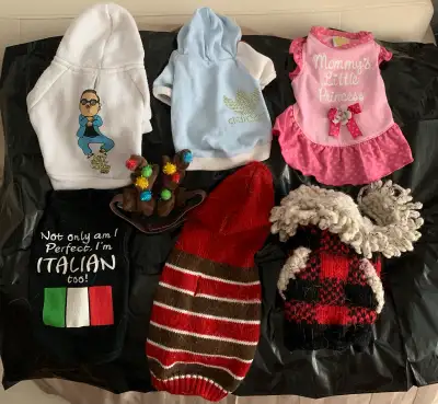 Pet clothes, View more
