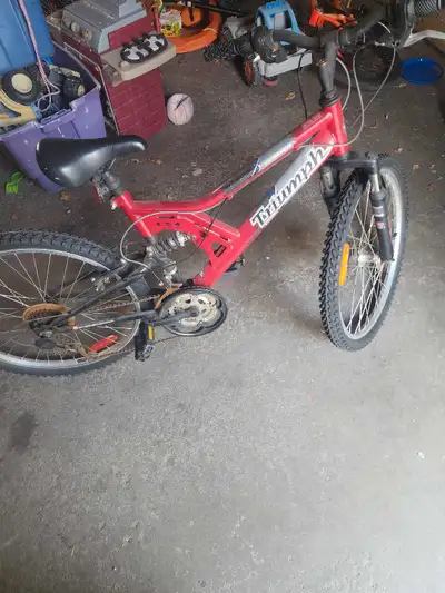 24 inch triumph mountain bike, View more