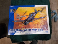 P40 curtice hawk model
