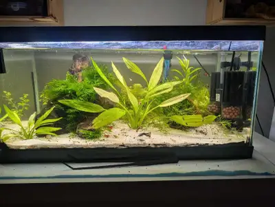 Kit aquarium 15 gallon , View more