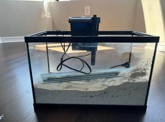 5 Gallon Tank + Filter + Lid + Caribsea in Fish for Rehoming in London - Image 2