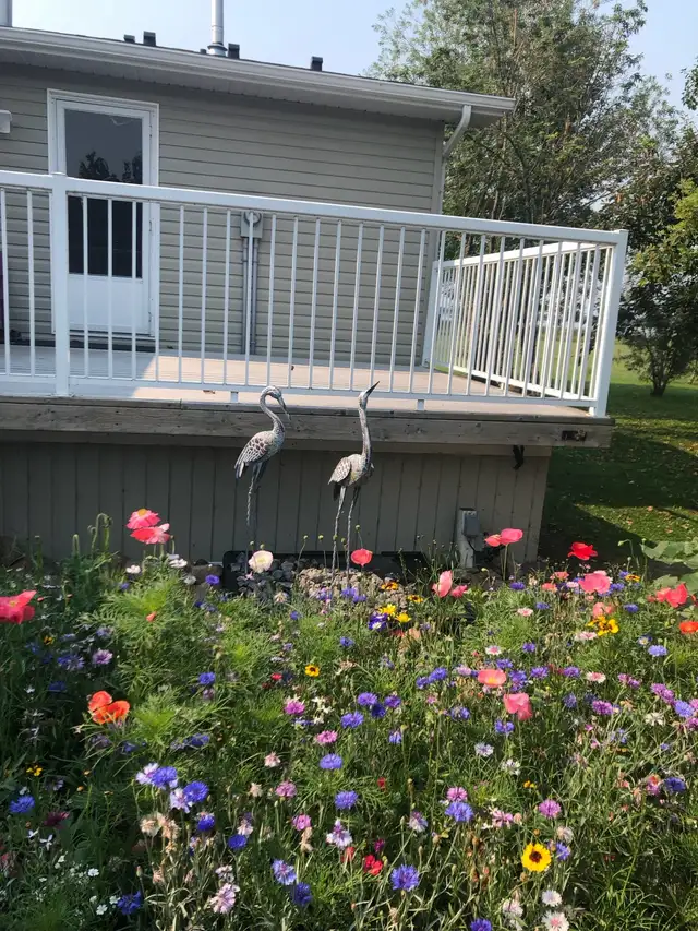 FOUR BEDROOM HOUSE.    nature  lovers paradise!!