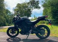 Motorcycle - 2020 Yamaha MT03