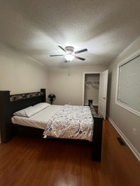En-suite Room for rent