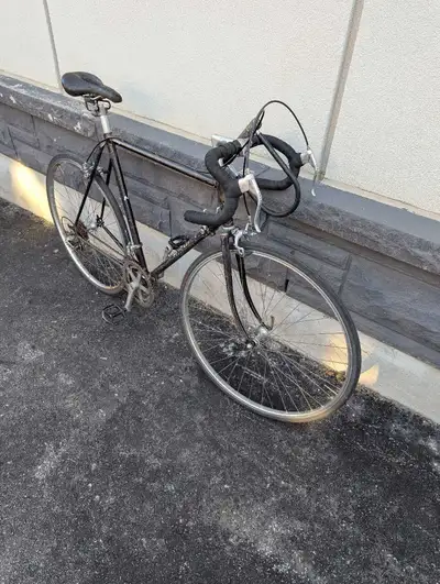 Vintage Nishiki Road Bike, View more