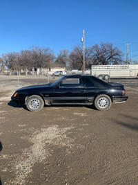 1985 Mustang 5.0 5spd