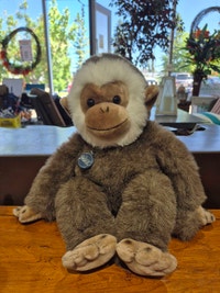 1983 Cappuccino Capuchin Monkey Plush Calgary Alberta Preview