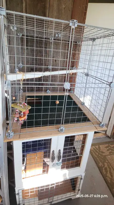 DIY Bird or Small Animal Cage, View more