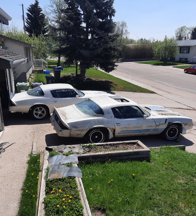 1981 Z28 camaro parts Classic Cars Red Deer Kijiji