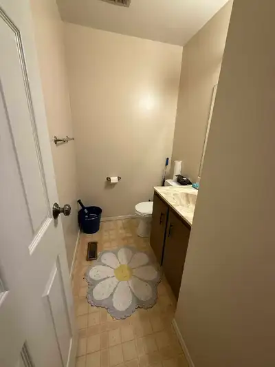 Studio apartment for rent Available for June 1st. Must be okay with cats as there is 3cats living he...