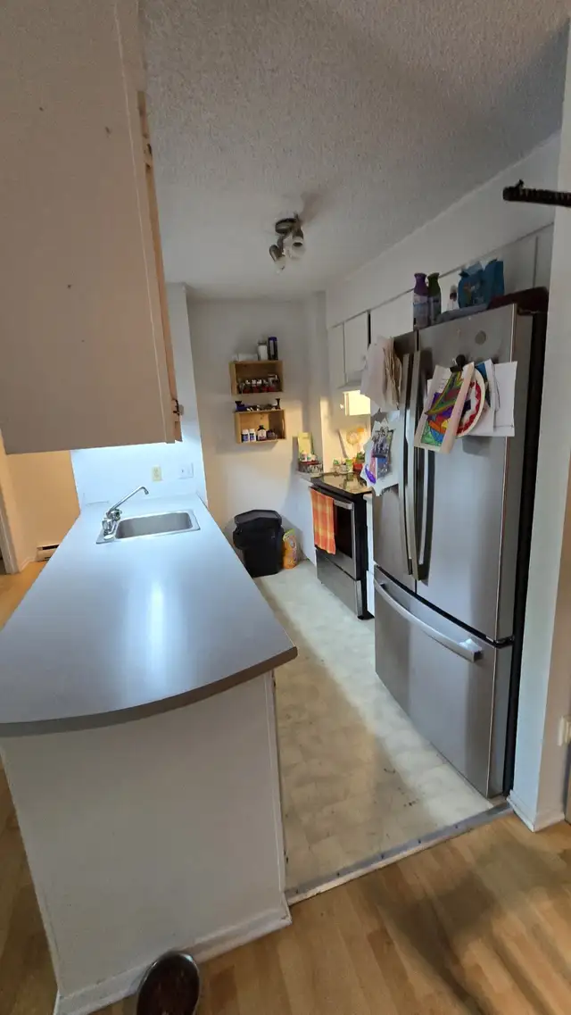 Grand logement 4 et demi à Mont-St-Hilaire, libre immédiatement in Long Term Rentals in Longueuil / South Shore - Image 3