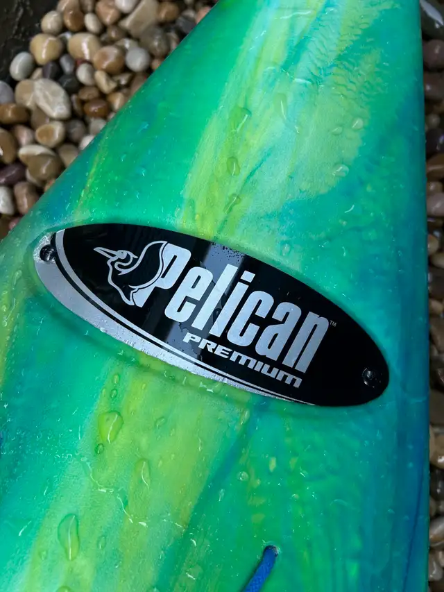 Kayak Pelican Premium like new 10 foot.  $350.00 firm62863268125826121