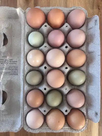 Eggs for Sale, View more