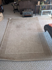 Large Area Rug