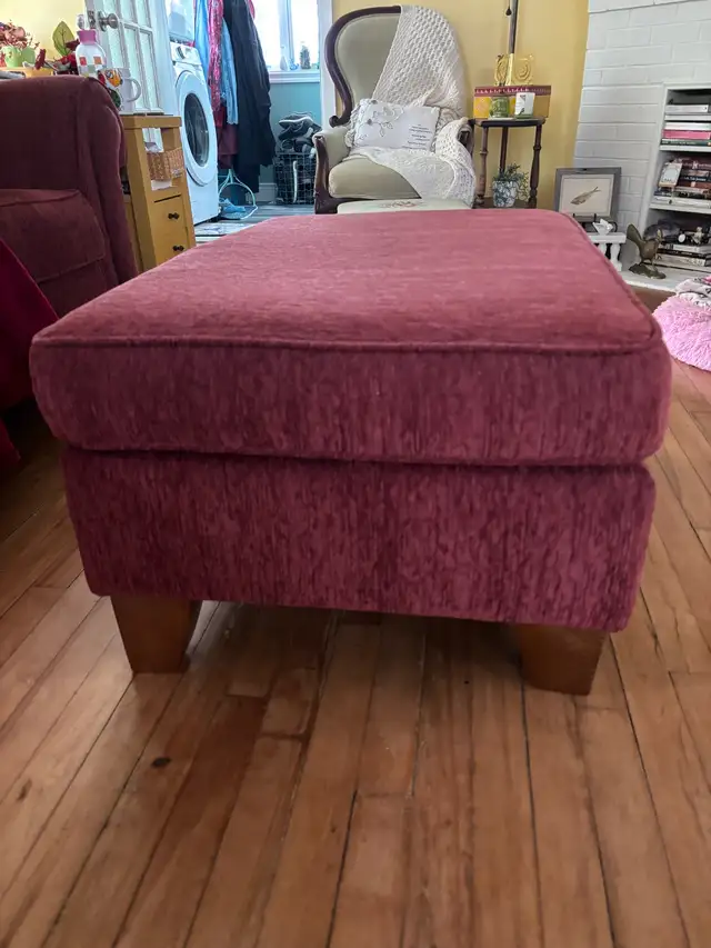 Loveseat and Ottoman in Couches & Futons in Truro - Image 4