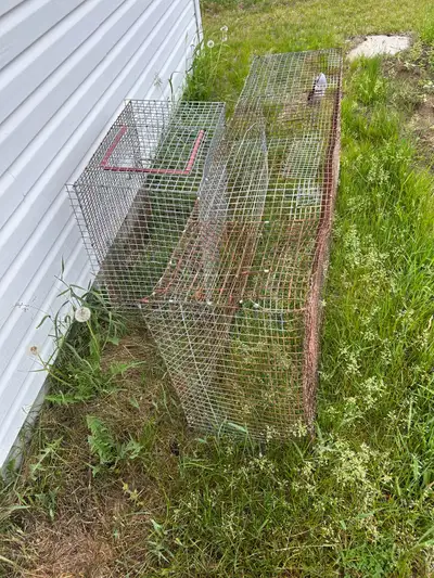 1 large 1 small cage, View more