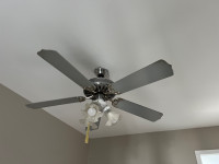 Ceiling fan light