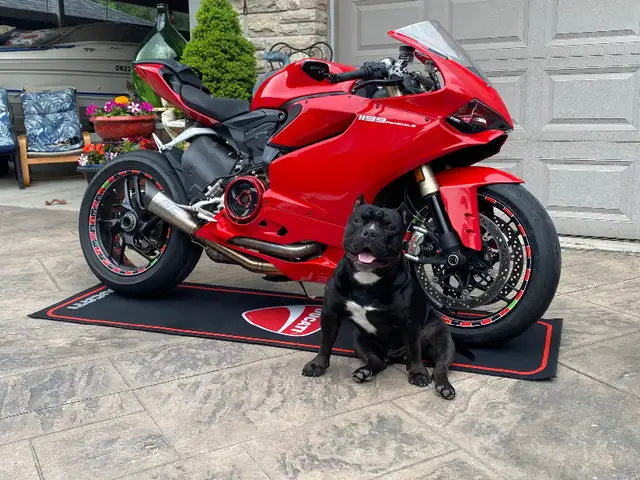 Triumph motorcycle display carpets runner mats rug yoga garage in Other in Barrie - Image 7