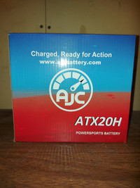 Powersport Battery ATX20H