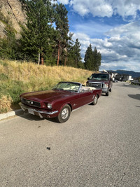 1966  Mustang Convertable