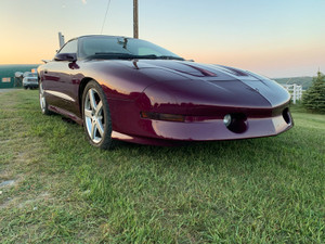 1995 Pontiac Trans Am LT1, 6 speed manual,low kms, mint condition 