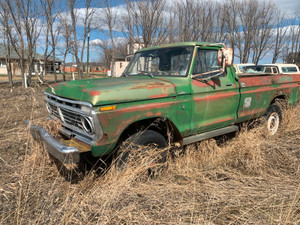 1973 Ford F 250