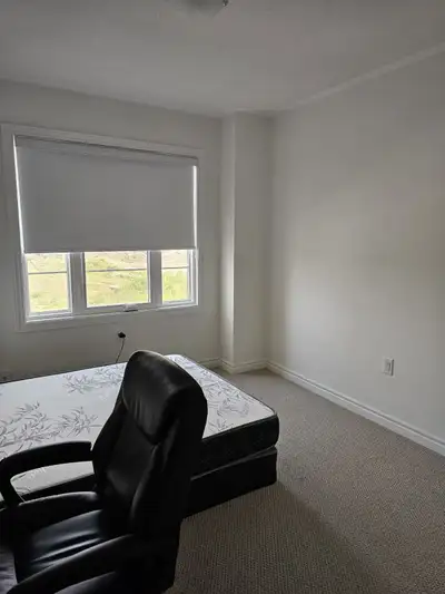 Including utilities and shared bathroom. No visitors. No car parking available. Light cooking.