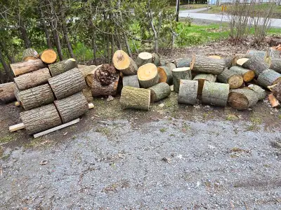 Wood / Log Dump Site, View more