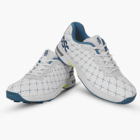 DSC Cricket Shoes