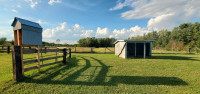 Horse Barn with Pasture for Rent