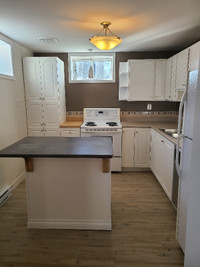Renovated 2 Bedroom Apartment in Lower Sackville