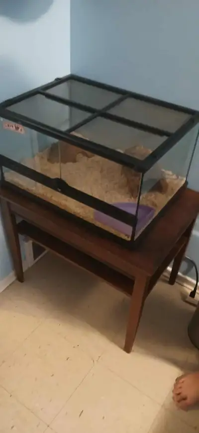 20 gallon front opening tank , View more