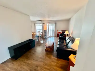 Condo à louer 3 ½ dans le quartier Ville-Marie, impeccable !